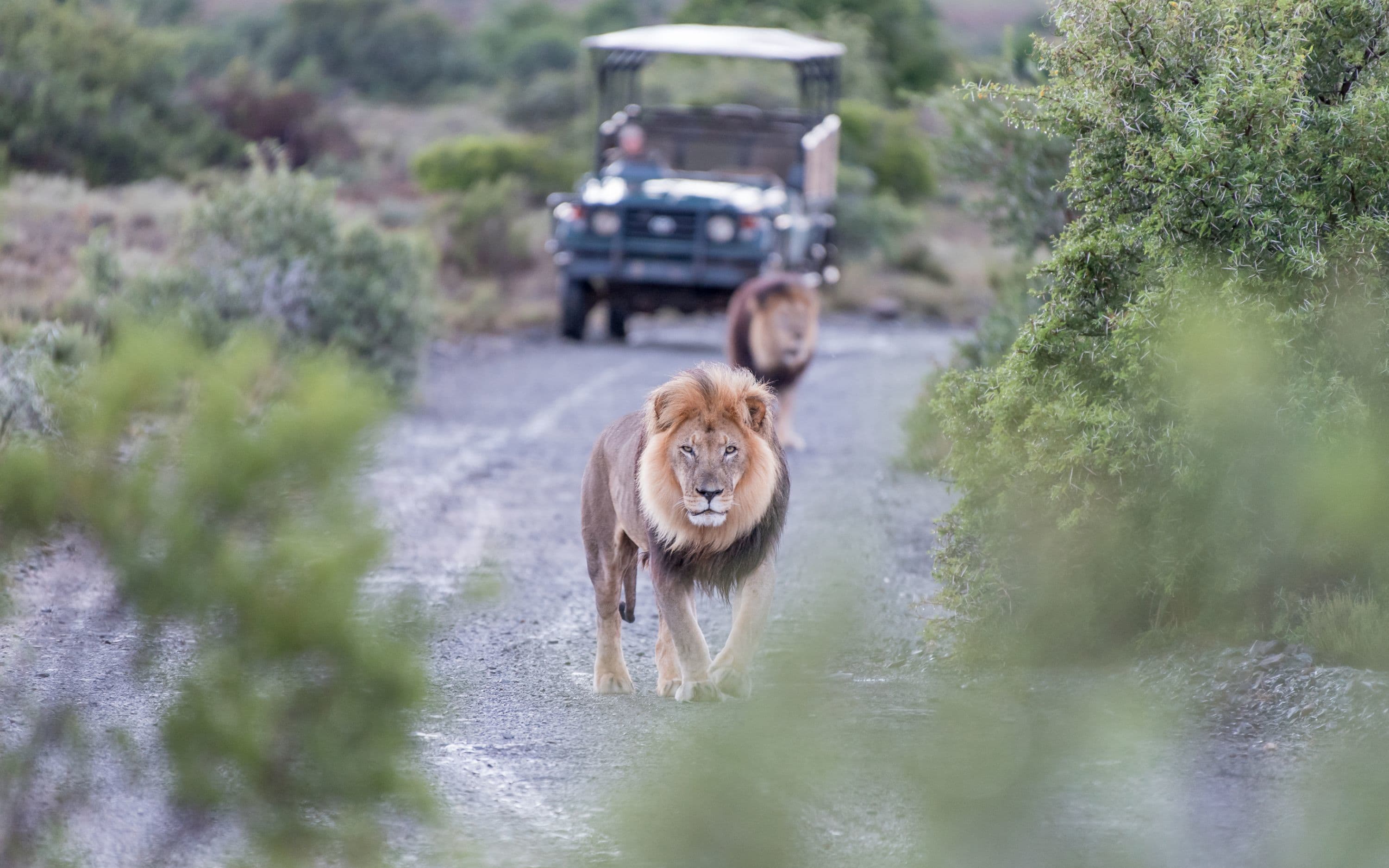 Kruger National Park