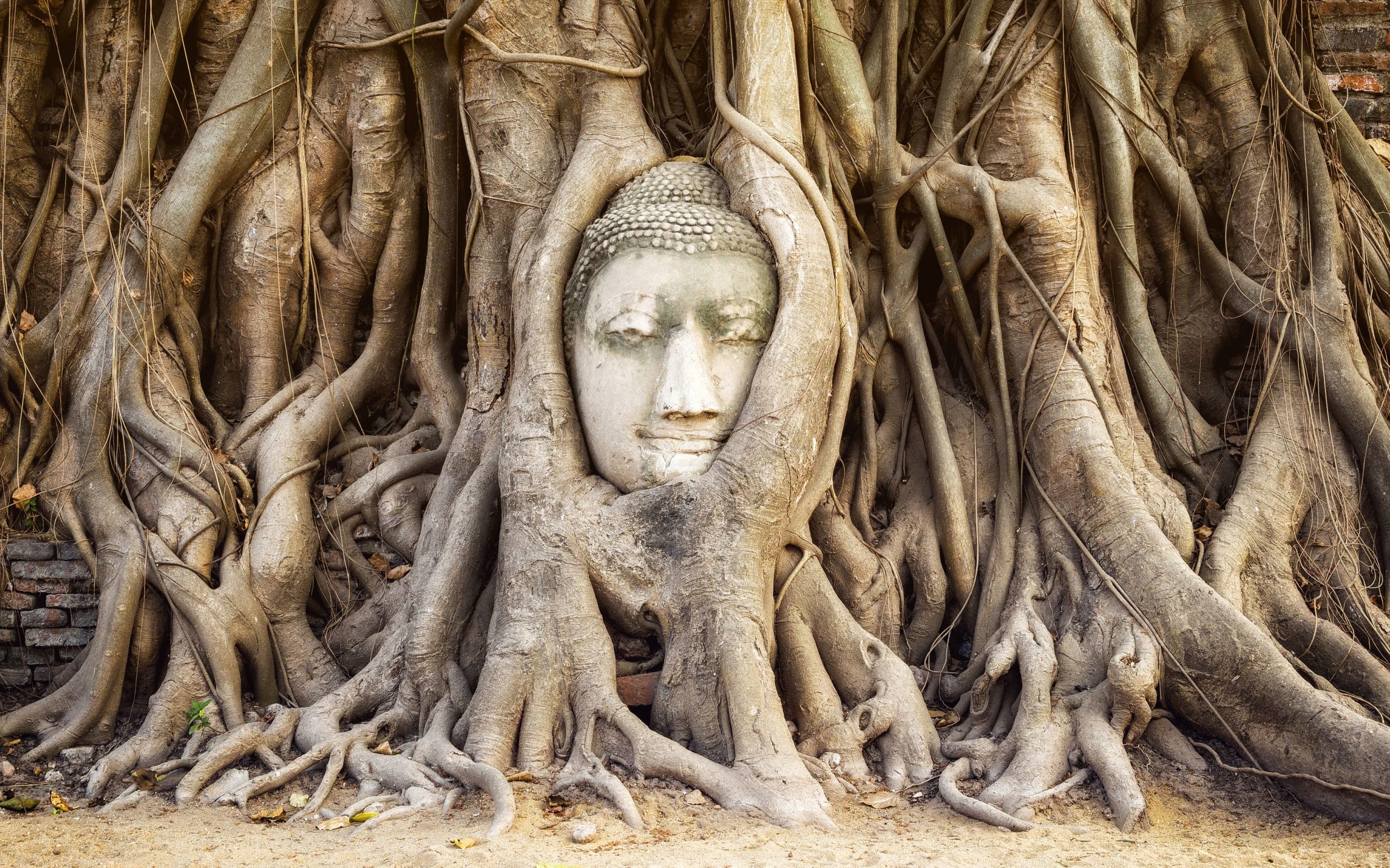 Ayutthaya & Sukhothai Tours