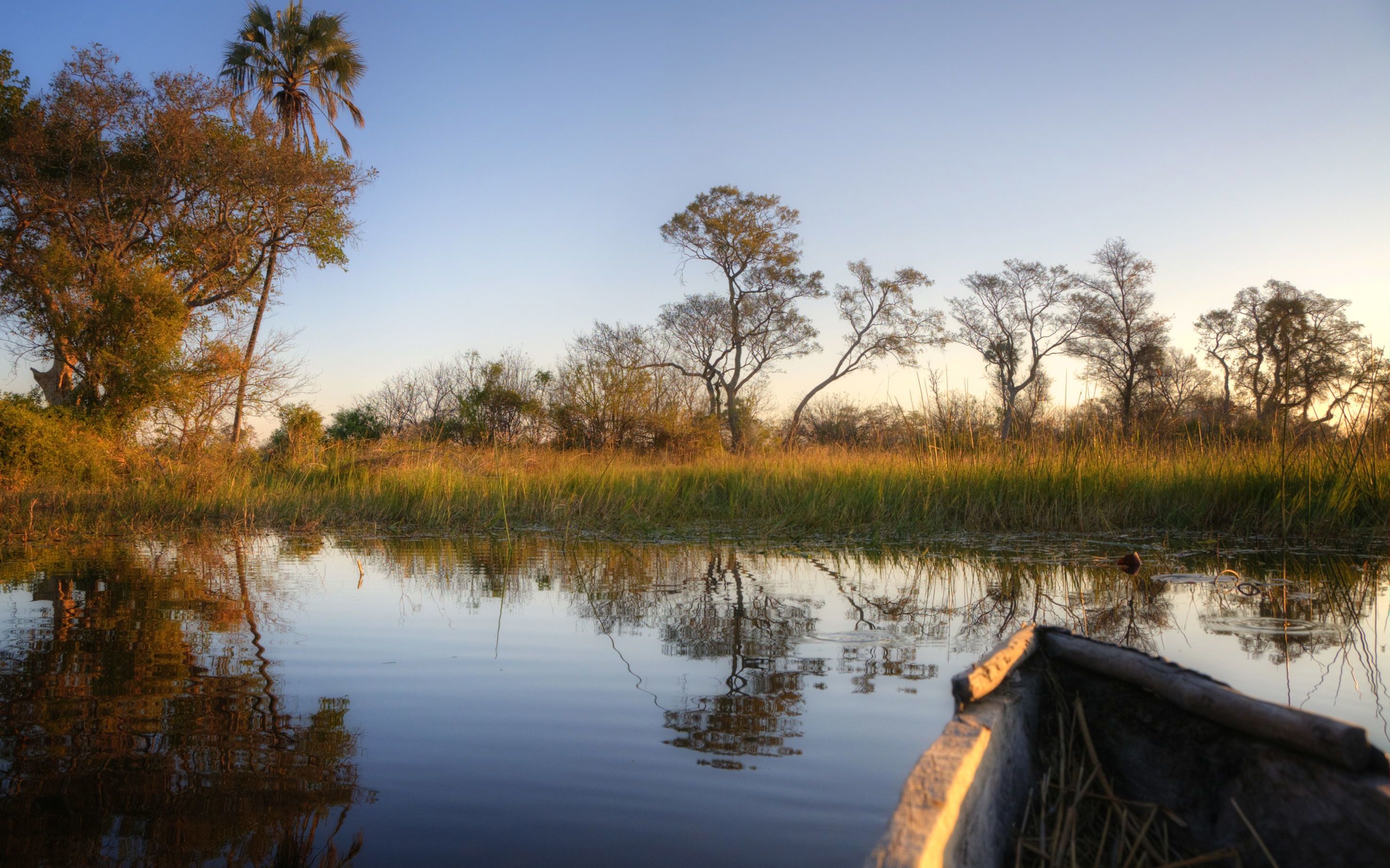 Okavango Delta
