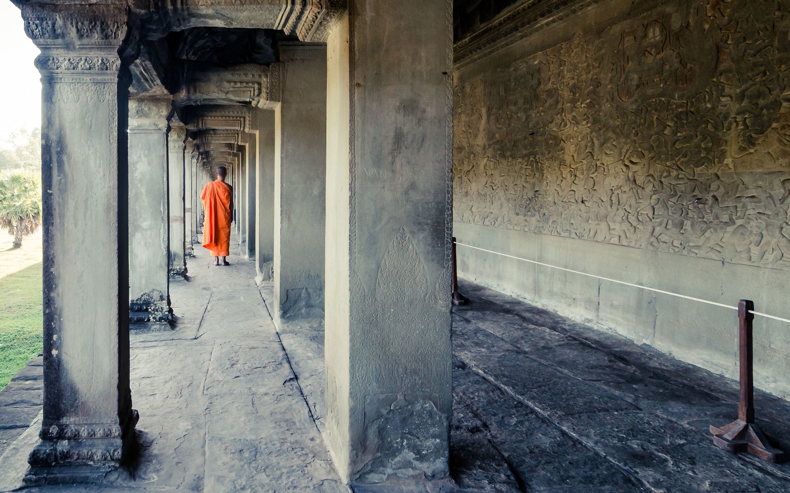 Modern & Ancient Life