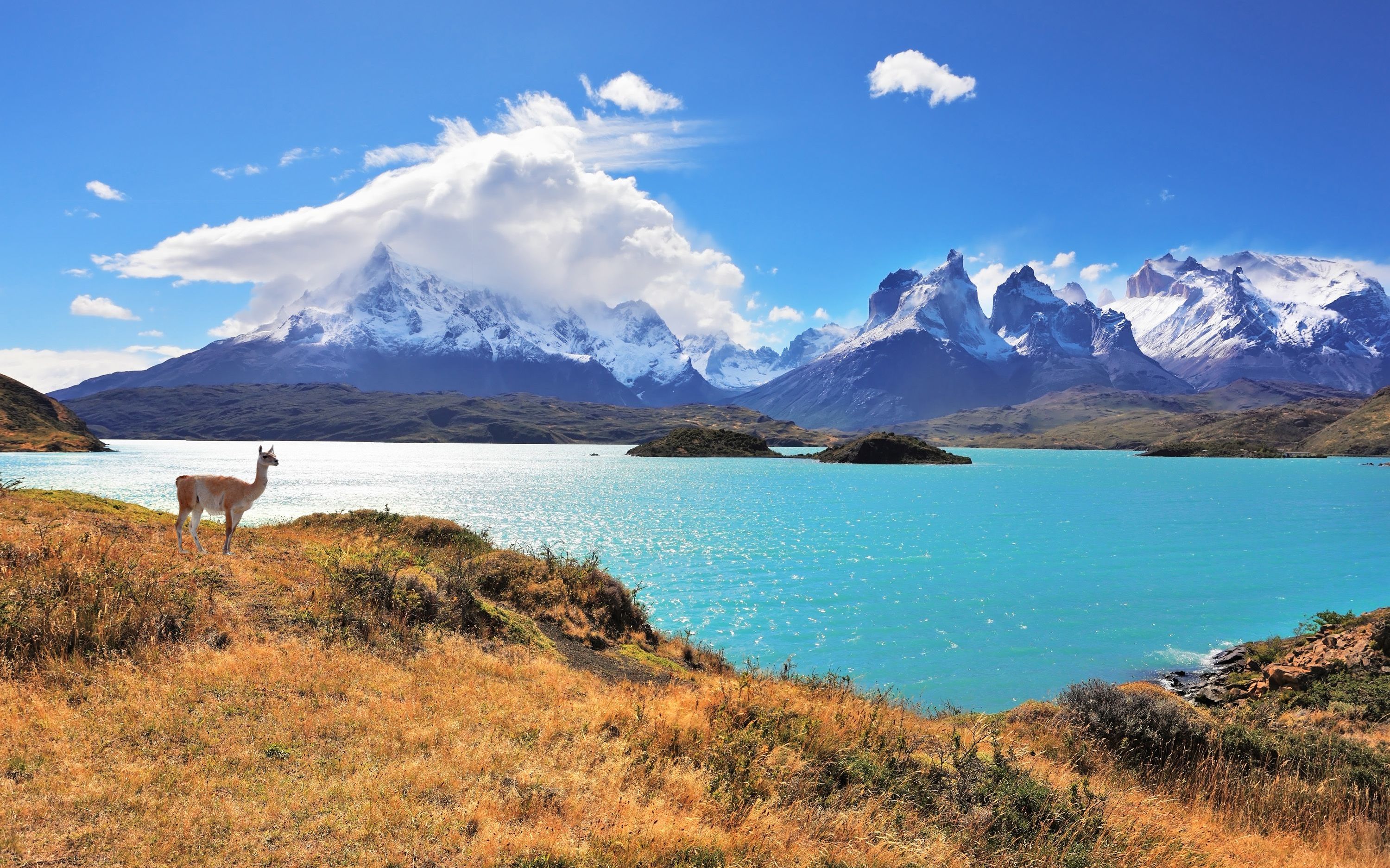 Chilean Travel Excursions