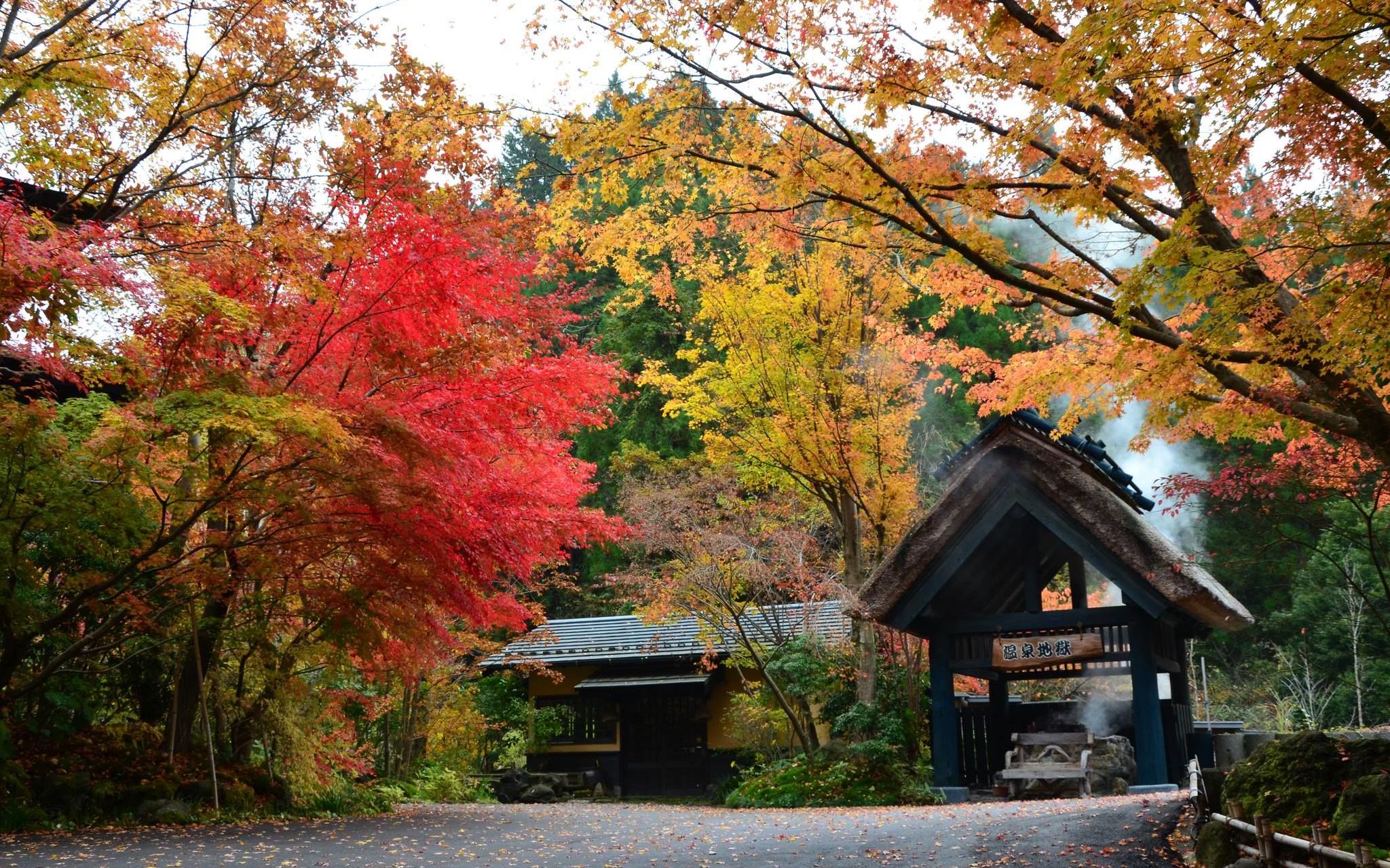 Japanese Tours: Ryokans and Hotels