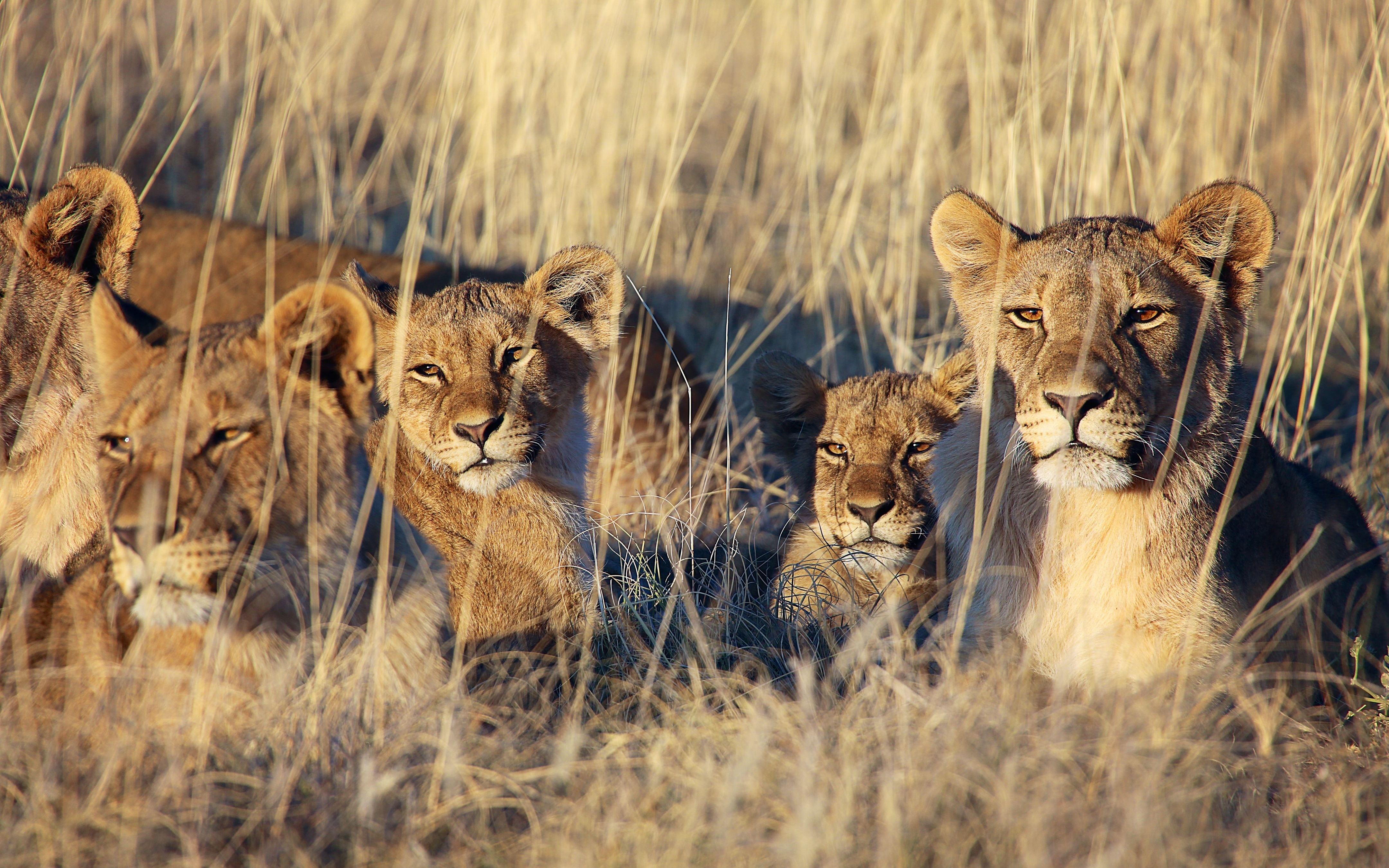 Etosha National Park