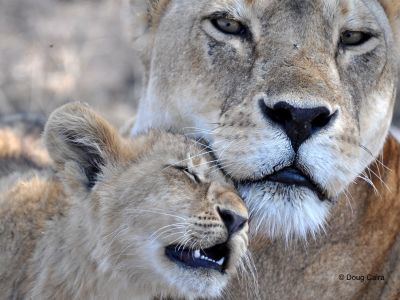 Samburu Game Reserve