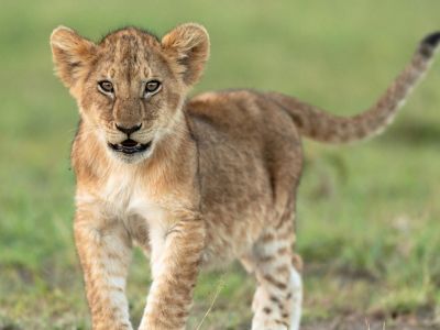 Pilanesberg National Park