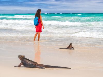 Galapagos Safari Camp: Island Hopping