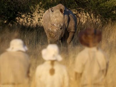 Walk with White Rhino in the Mosi O Tunya National Park in Livingstone Zambia