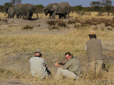 Guided walking safari