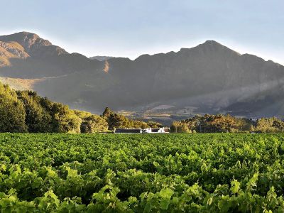 Cape Town: Winelands