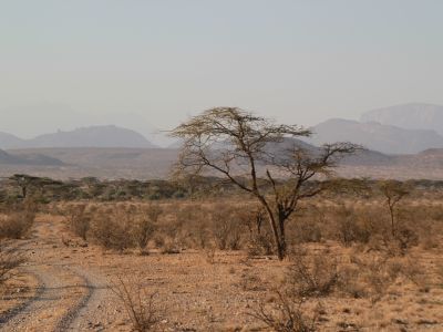 Fly to Saruni Samburu and Kalama Wildlife Conservancy