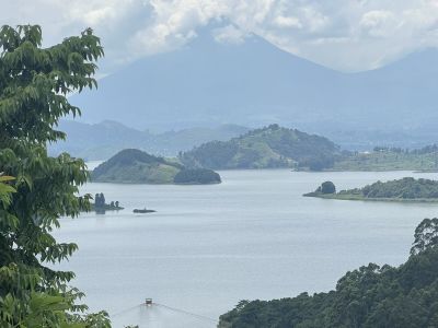 Fly to Bwindi National Park