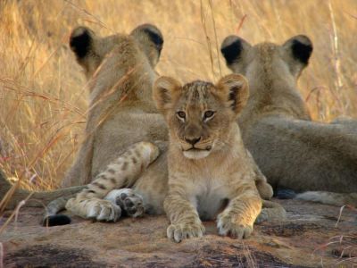 Departure Flight from Cape Town International Airport