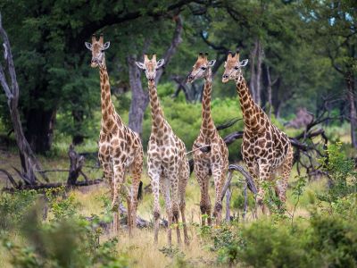 Arusha National Park