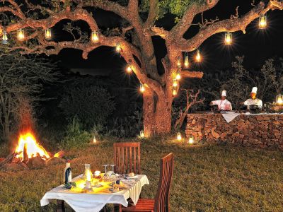 Serengeti Migration Camp