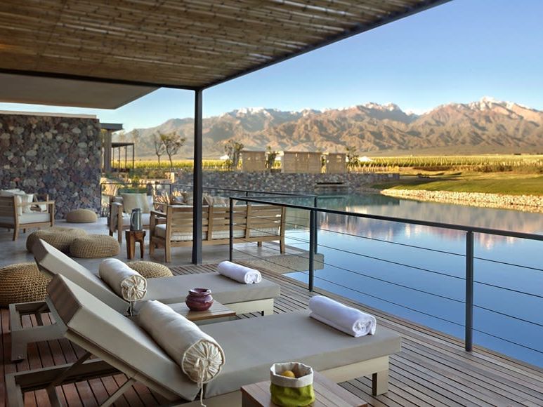 The Vines of Mendoza