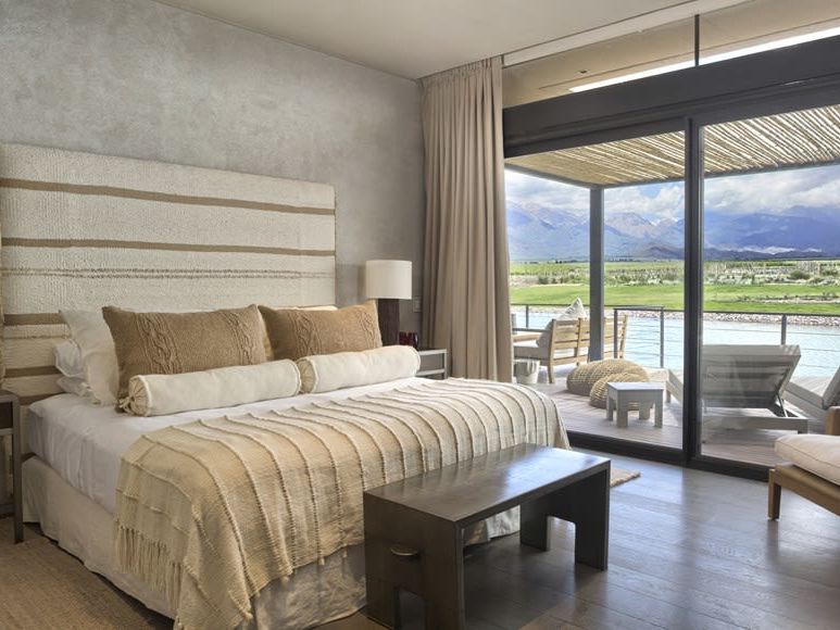 The Vines of Mendoza