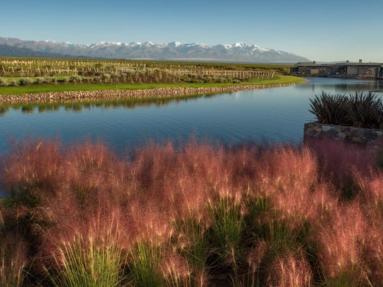 Iguazu Falls - Mendoza