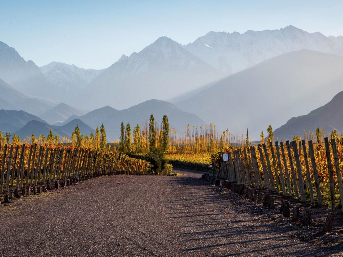 Uco Valley Wine Tour - Full Day