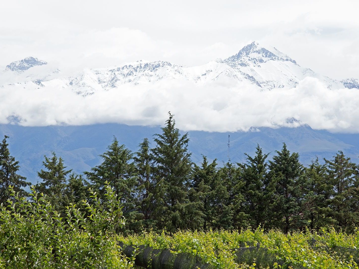 Uco Valley Wine Tour - Full Day