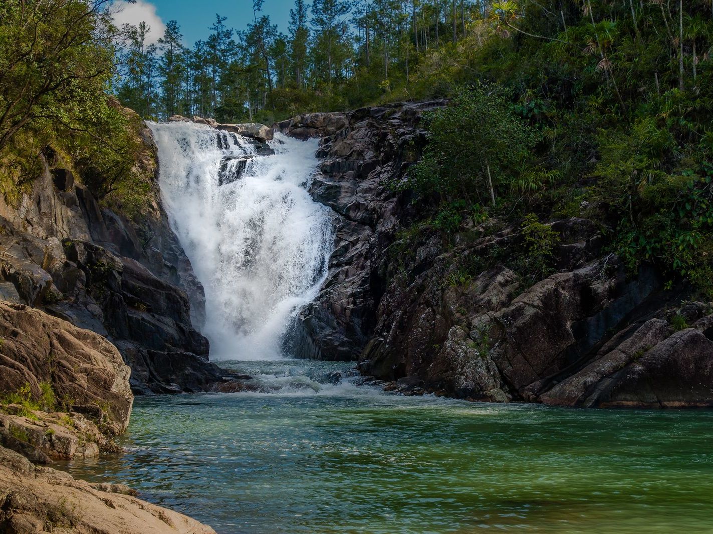 Fly to Belize & Transfer to Cayo District