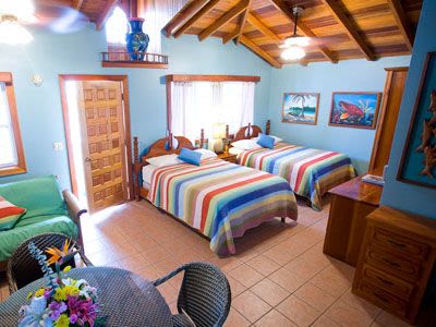 Blue Tang Inn