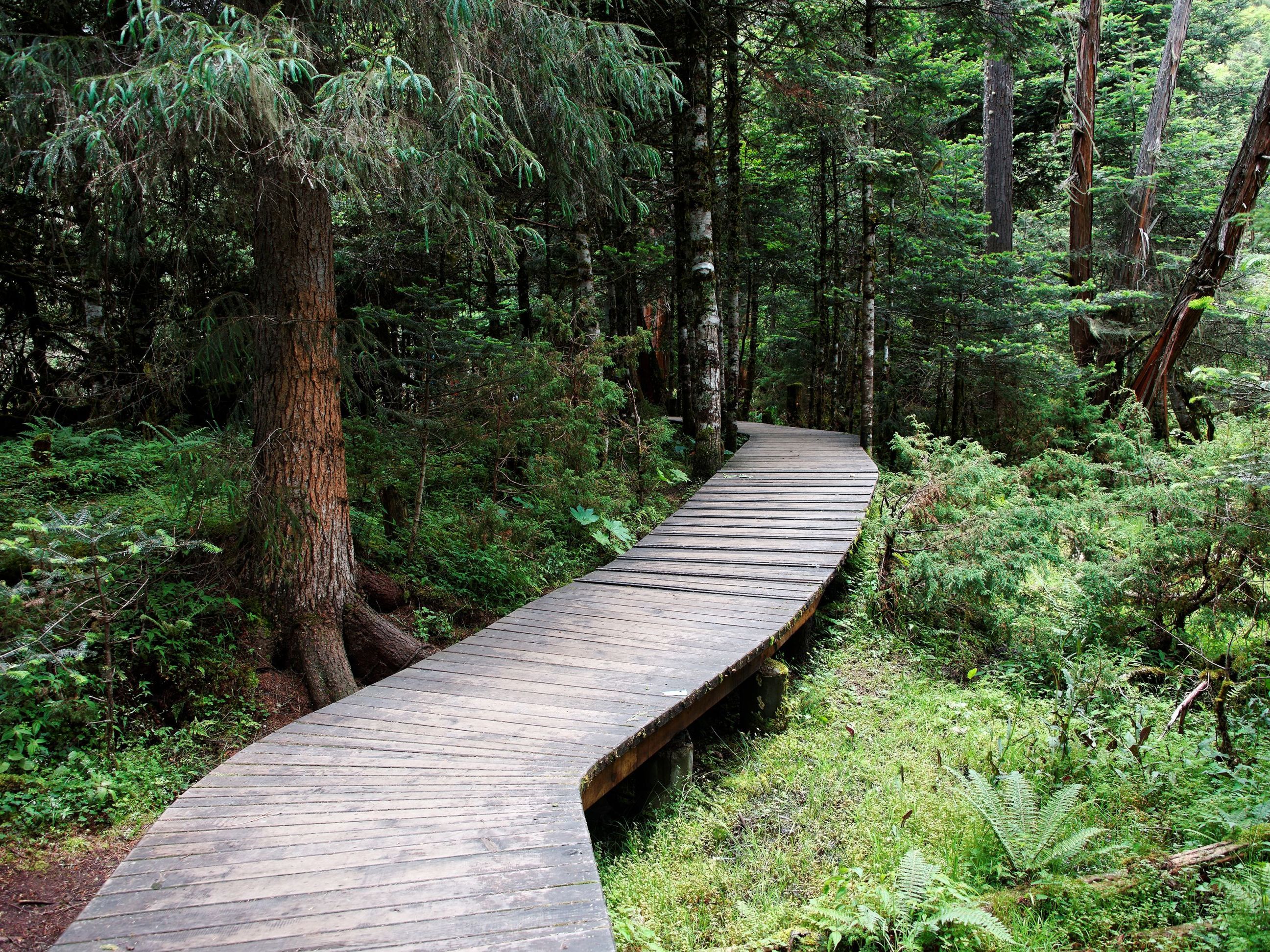 River Tubing and Tayrona National Park Visit