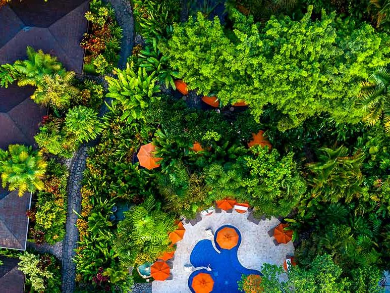 Arenal Nayara Hotel & Gardens