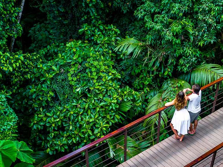 Arenal Nayara Hotel & Gardens