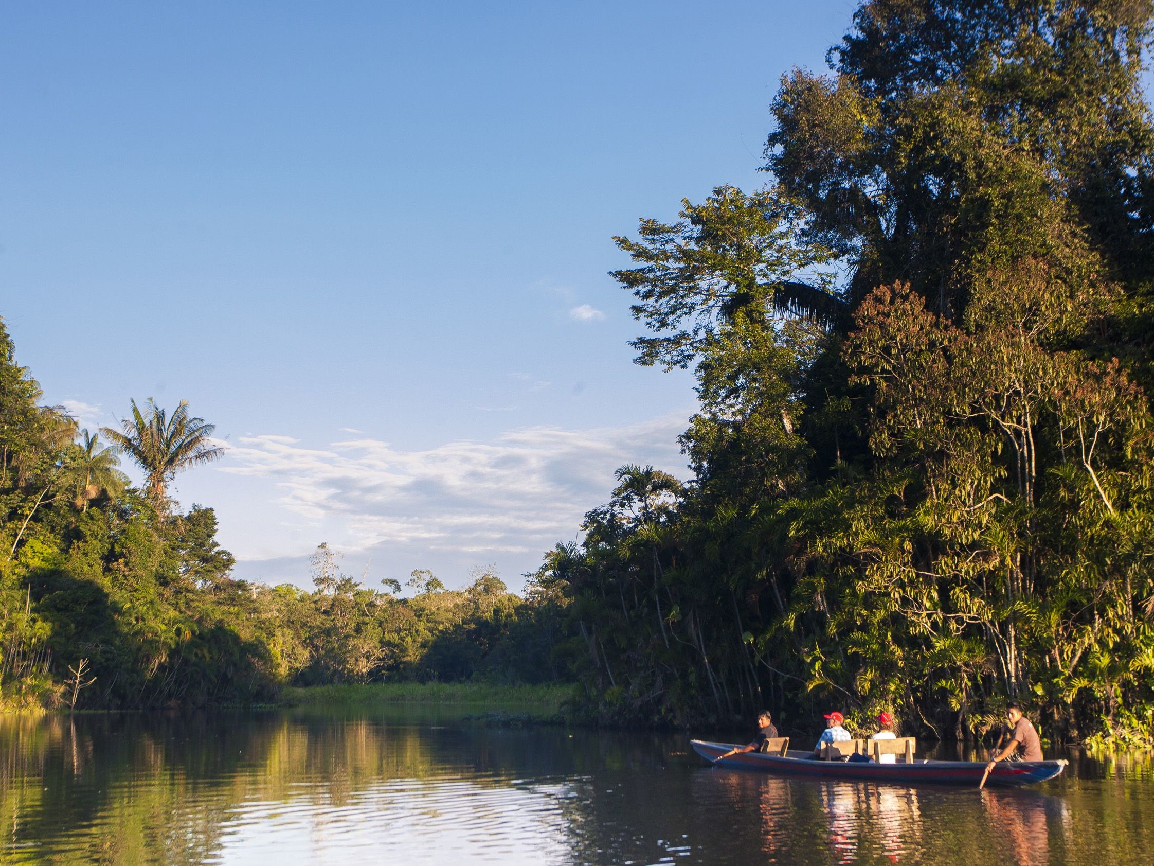 Introducing the Ecuadorian Amazon