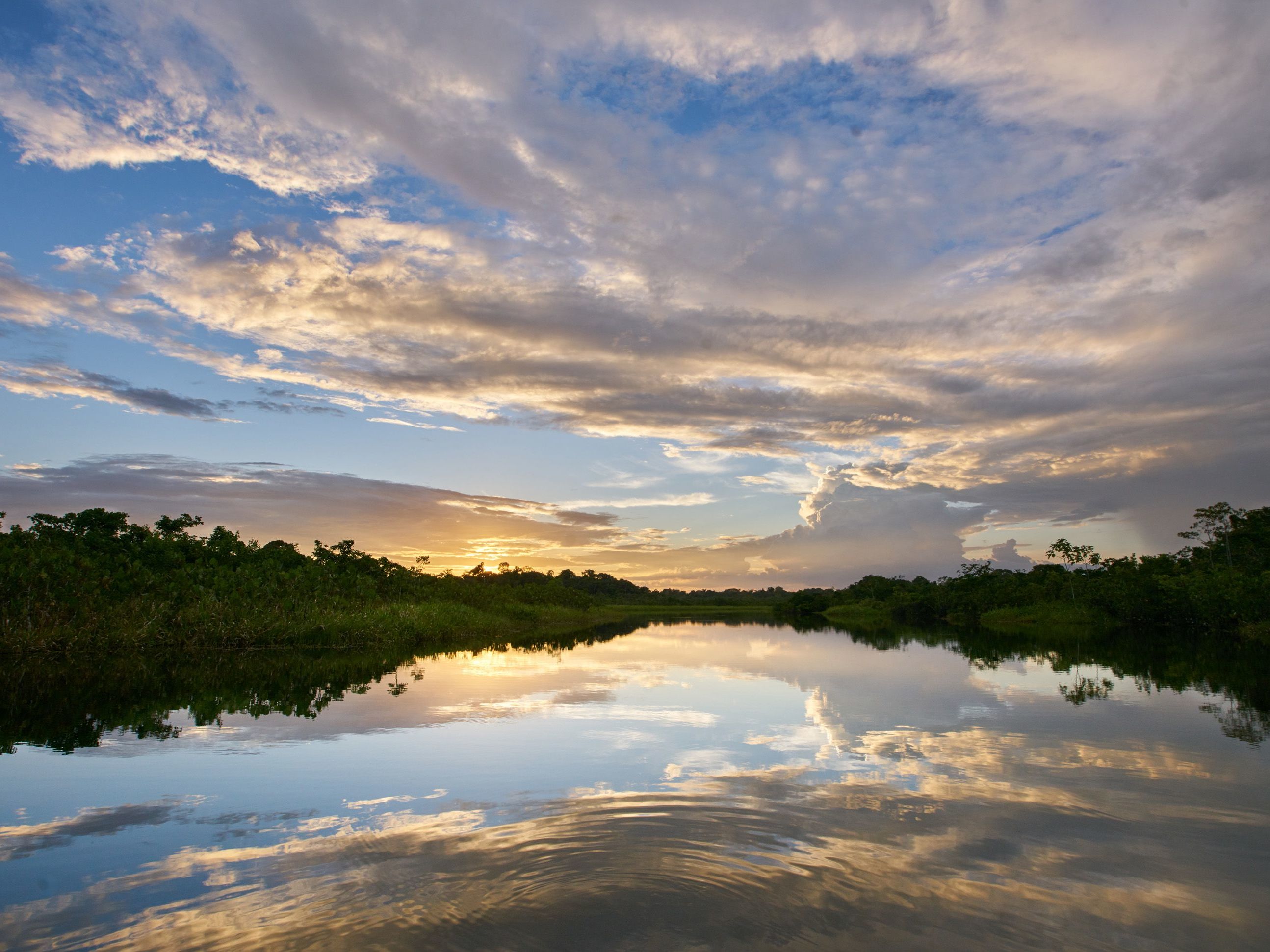 Reality Tour & Amazon Departure