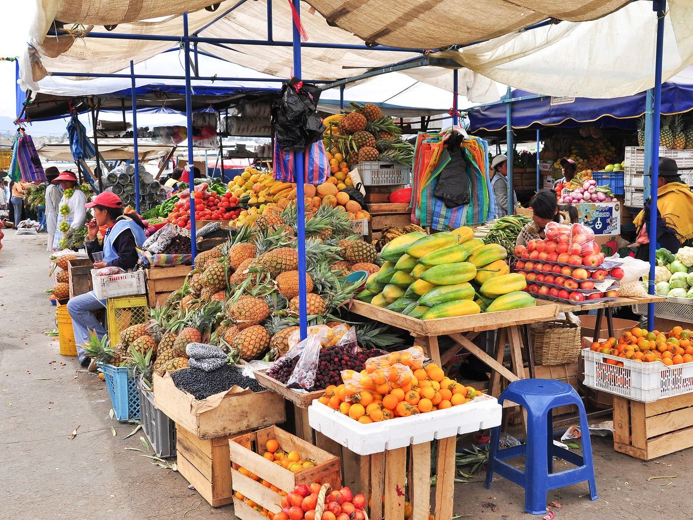 Sasquisili Market and Cotopaxi National Park
