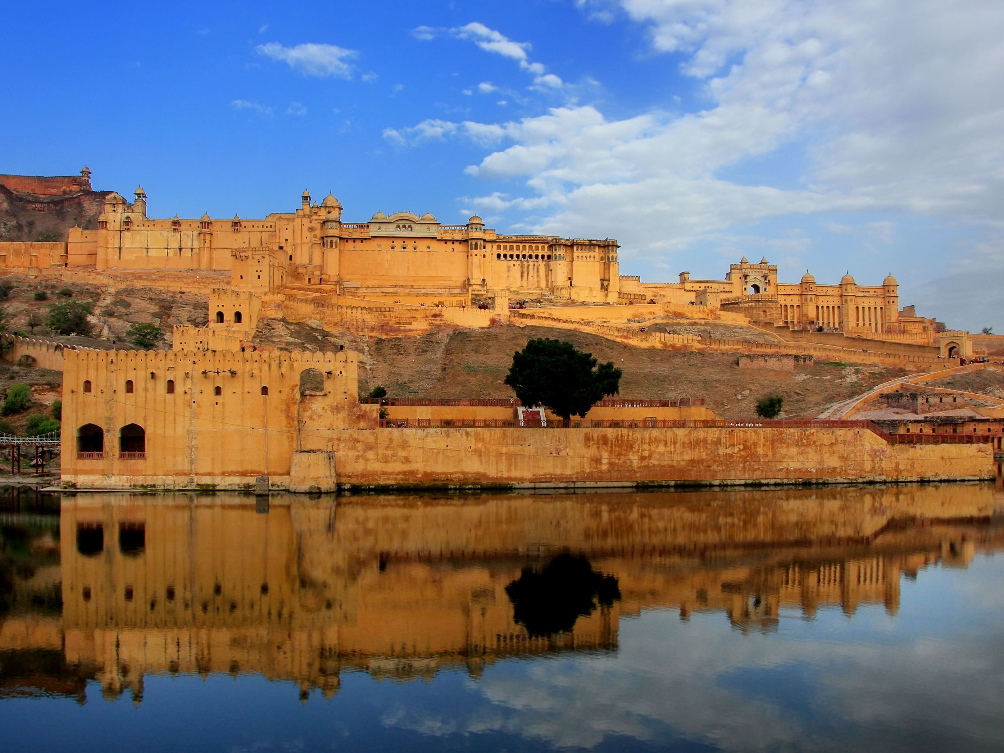Amber Fort & City Tour
