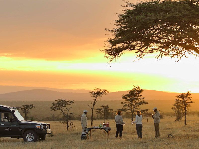 Fly to Nanyuki - Transfer to the Laikipia Plateau