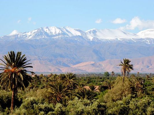 Les Jardins de Skoura
