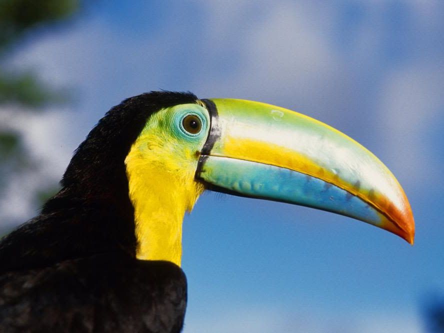 Days at Leisure in Boquete