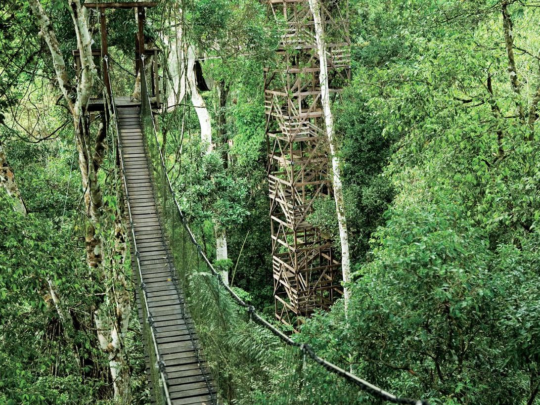 Inkaterra Reserva Amazonica