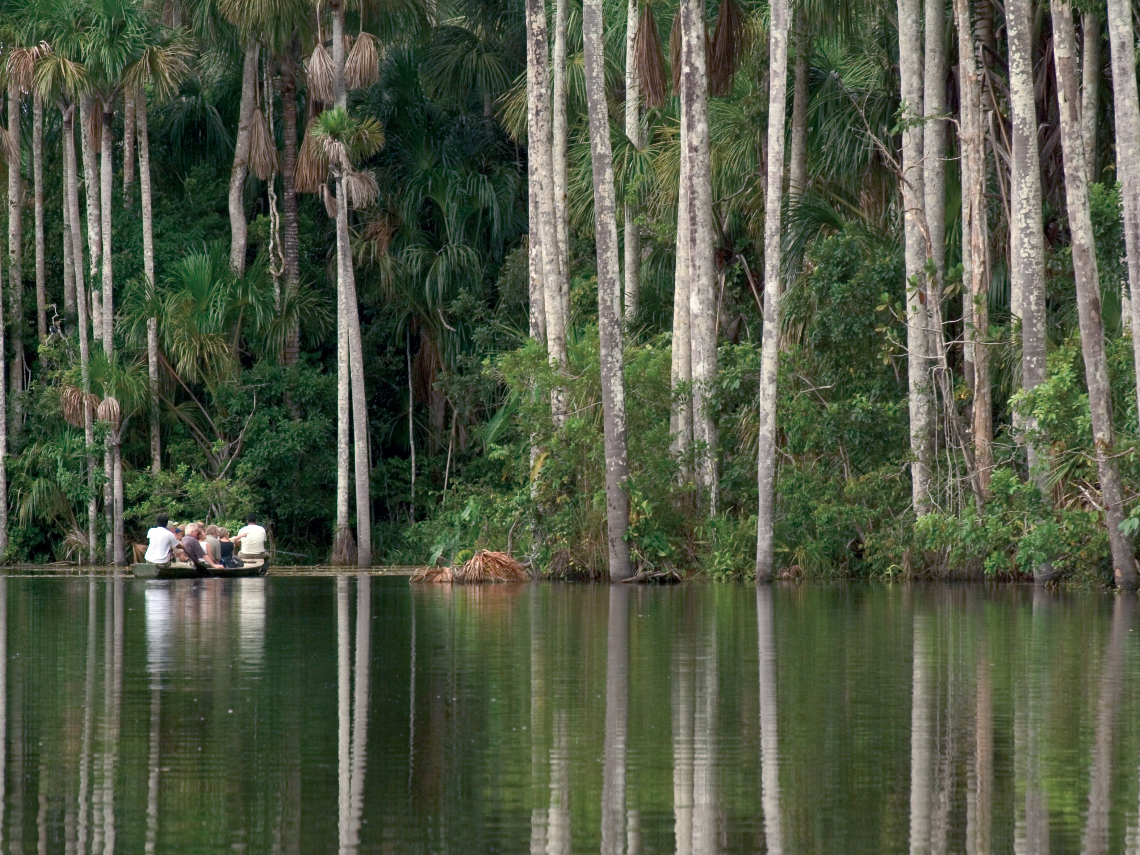 Tambopata National Reserve