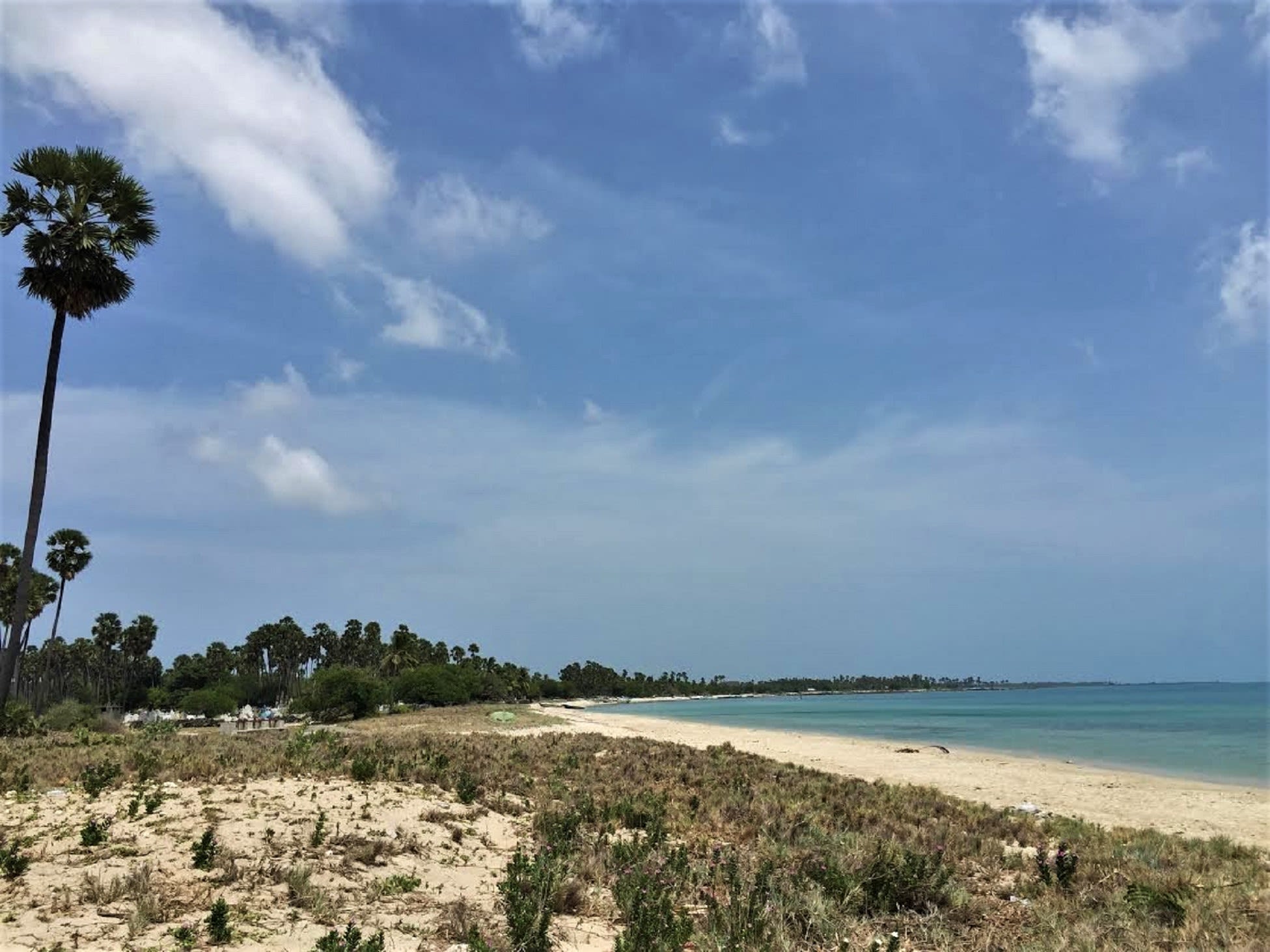 Jaffna
