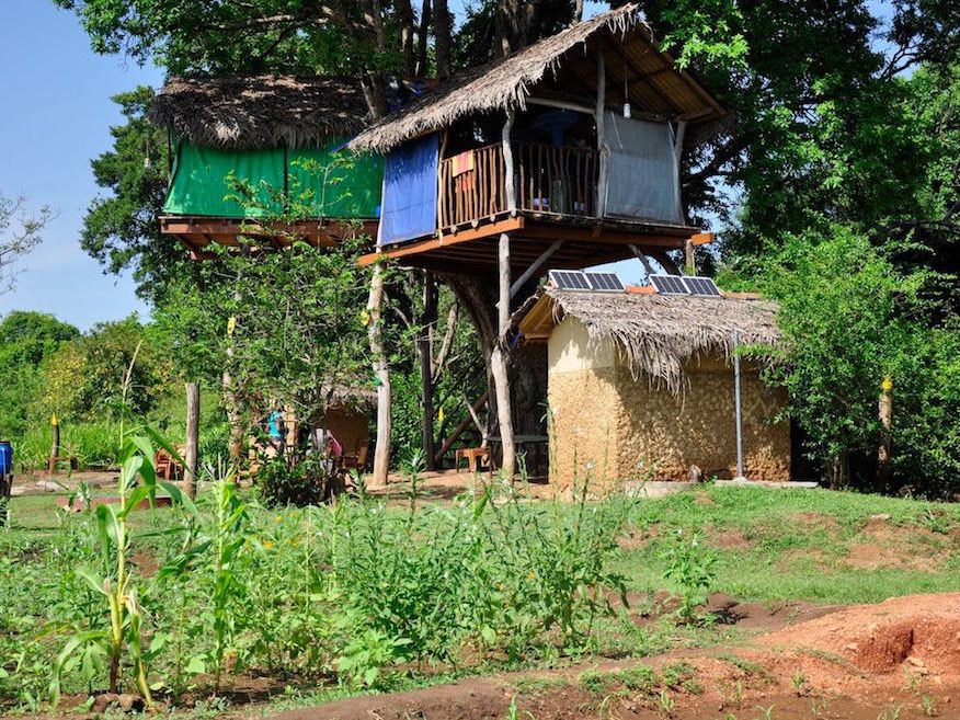 Elephant Watch Hut