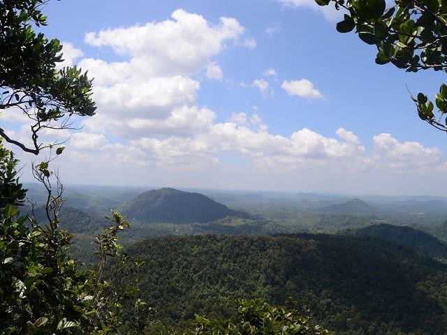 Kanneliya Forest Reserve Excursion