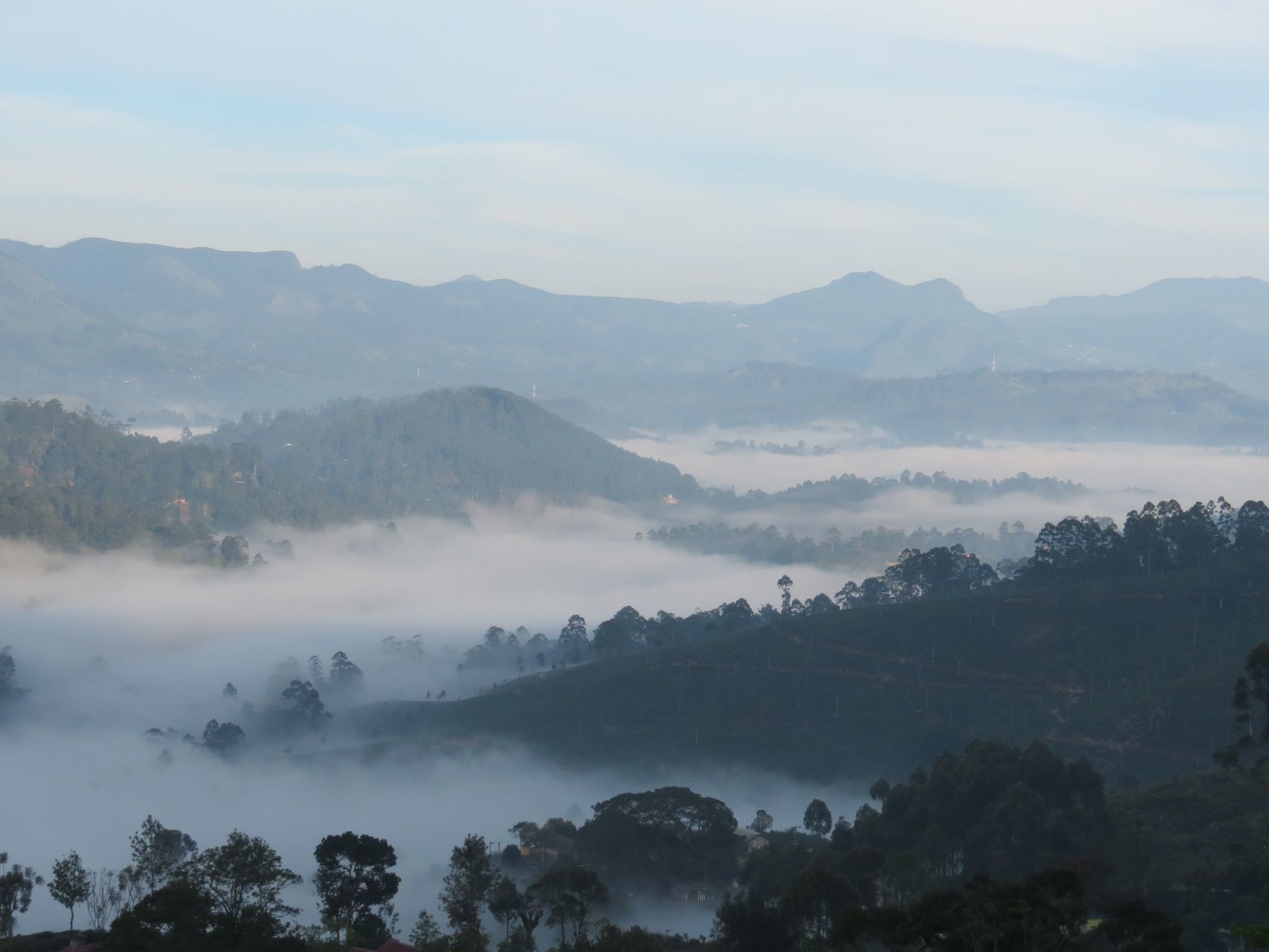 Minneriya National Park 