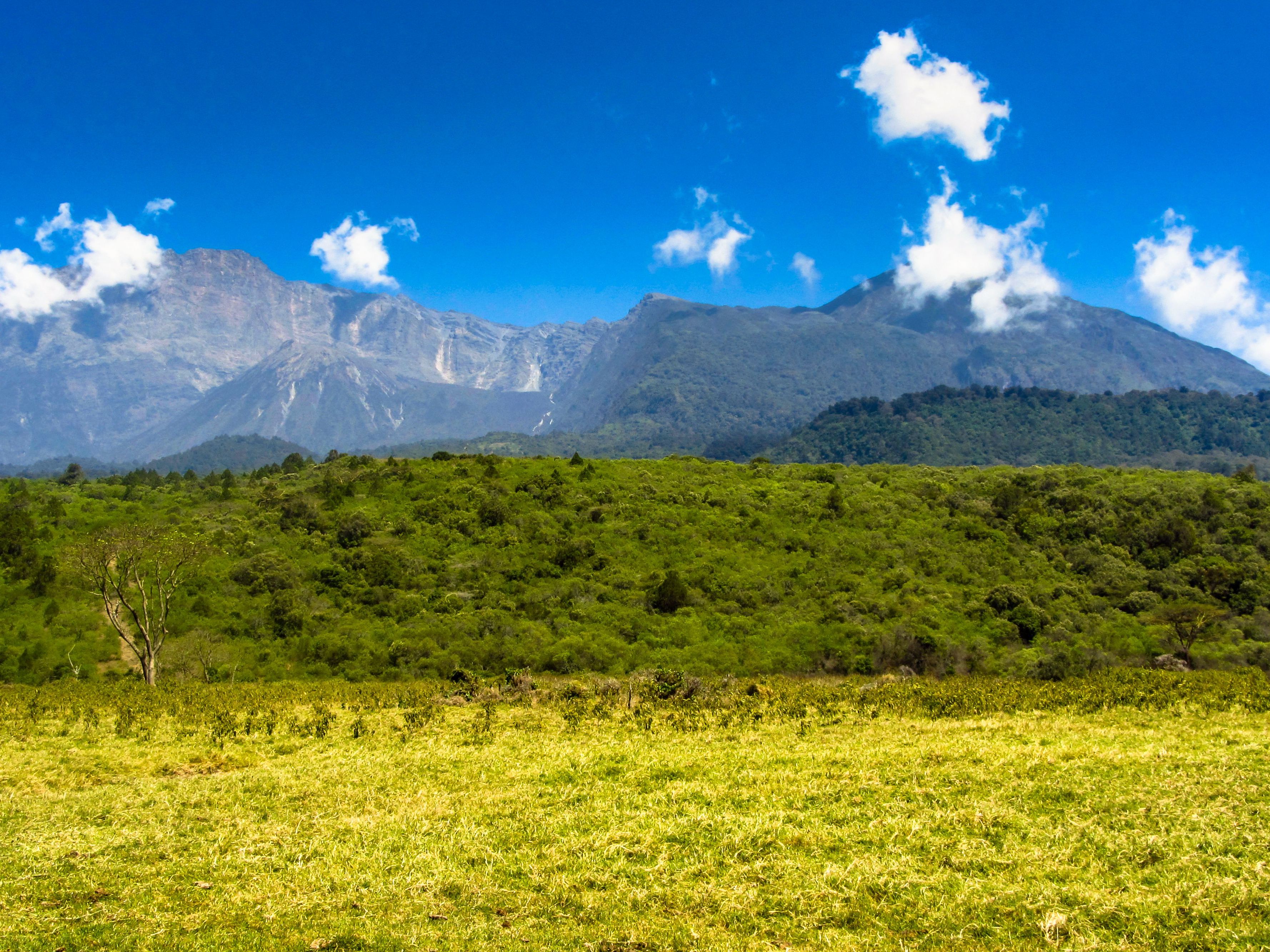 Bwindi - Entebbe - Kilimanjaro - Arusha
