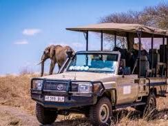 Nimali Tarangire Camp