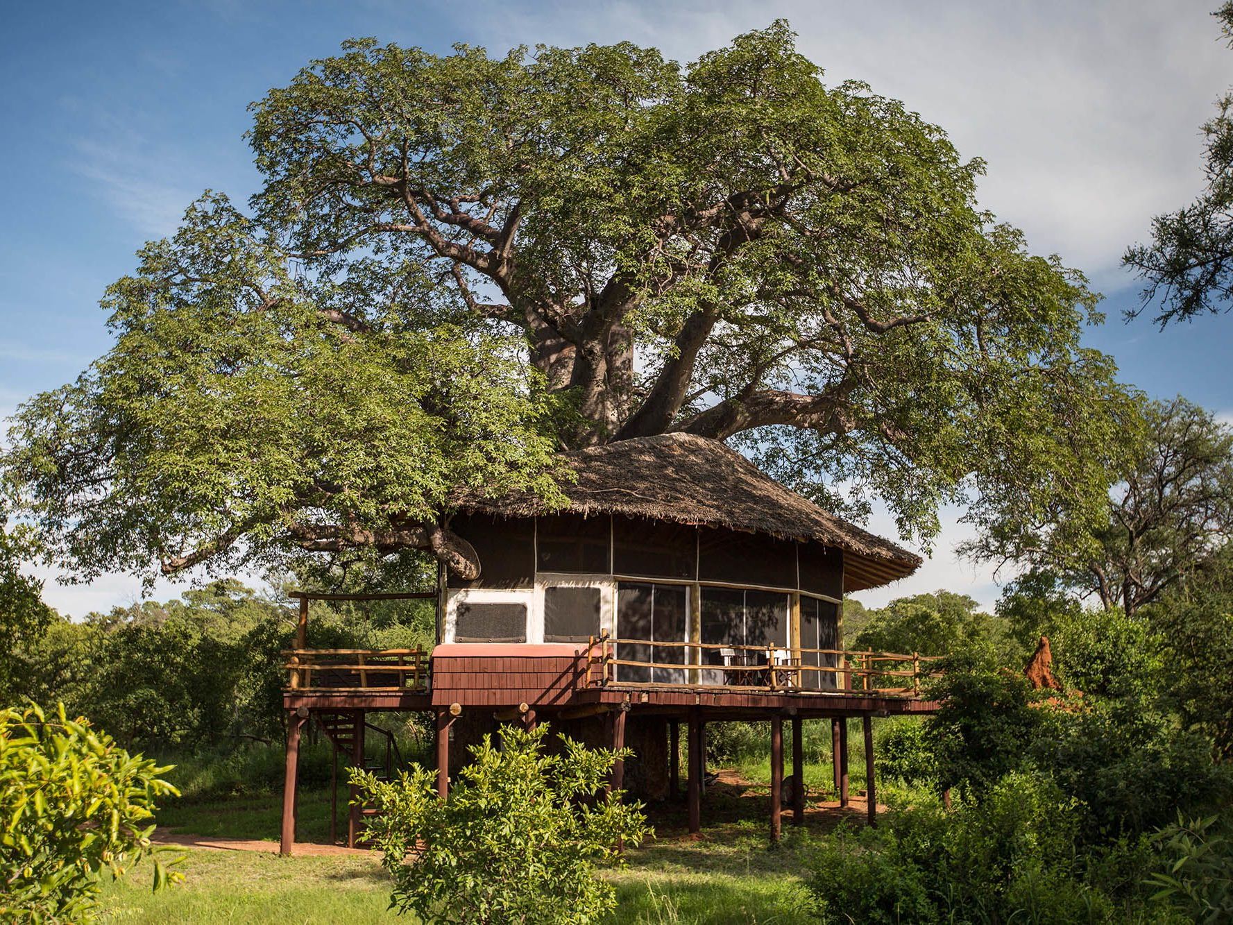 Tarangire Treetops 