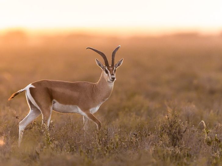 Travel by road to the Southern Serengeti