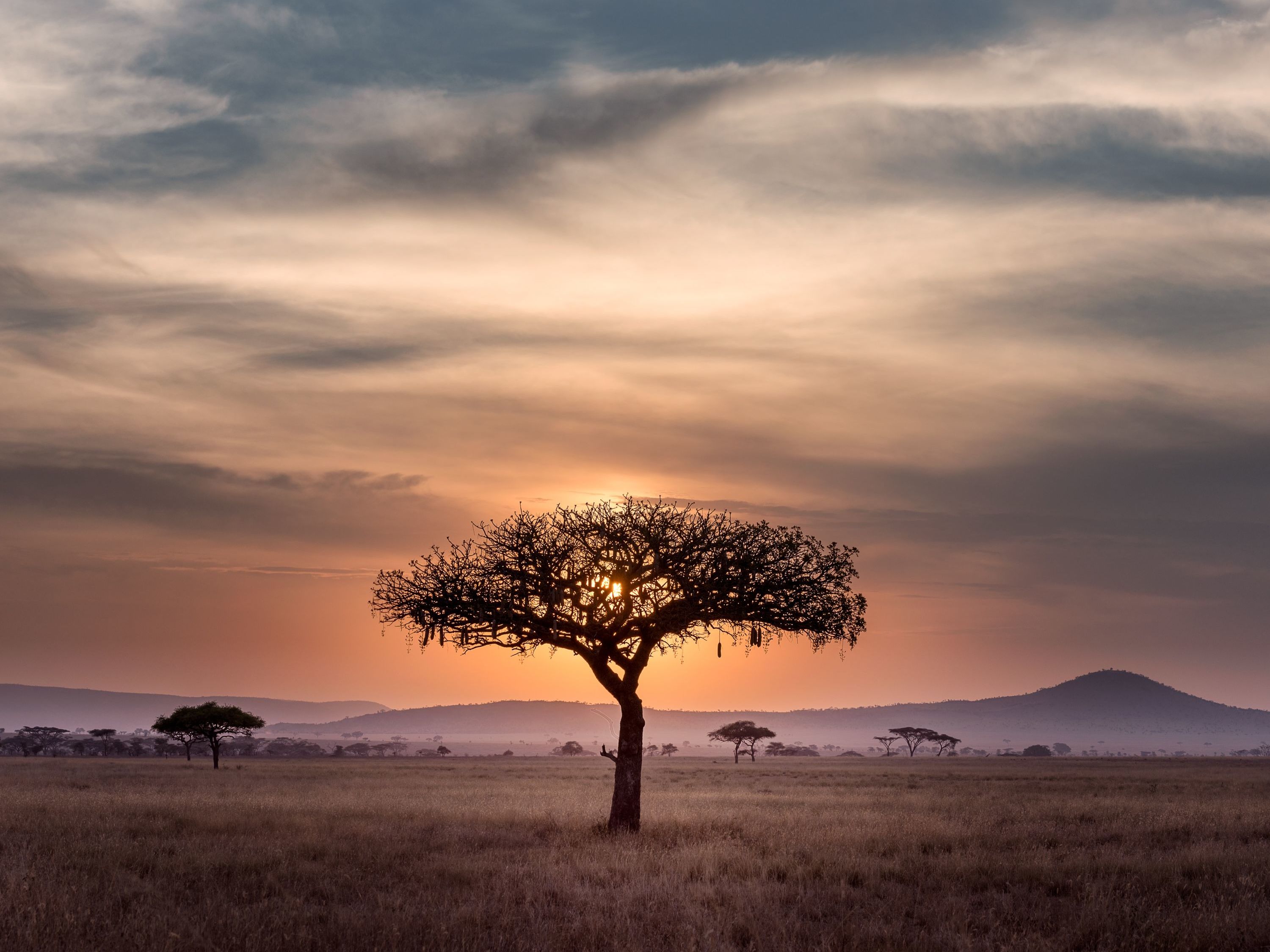 Explore the Northern Serengeti