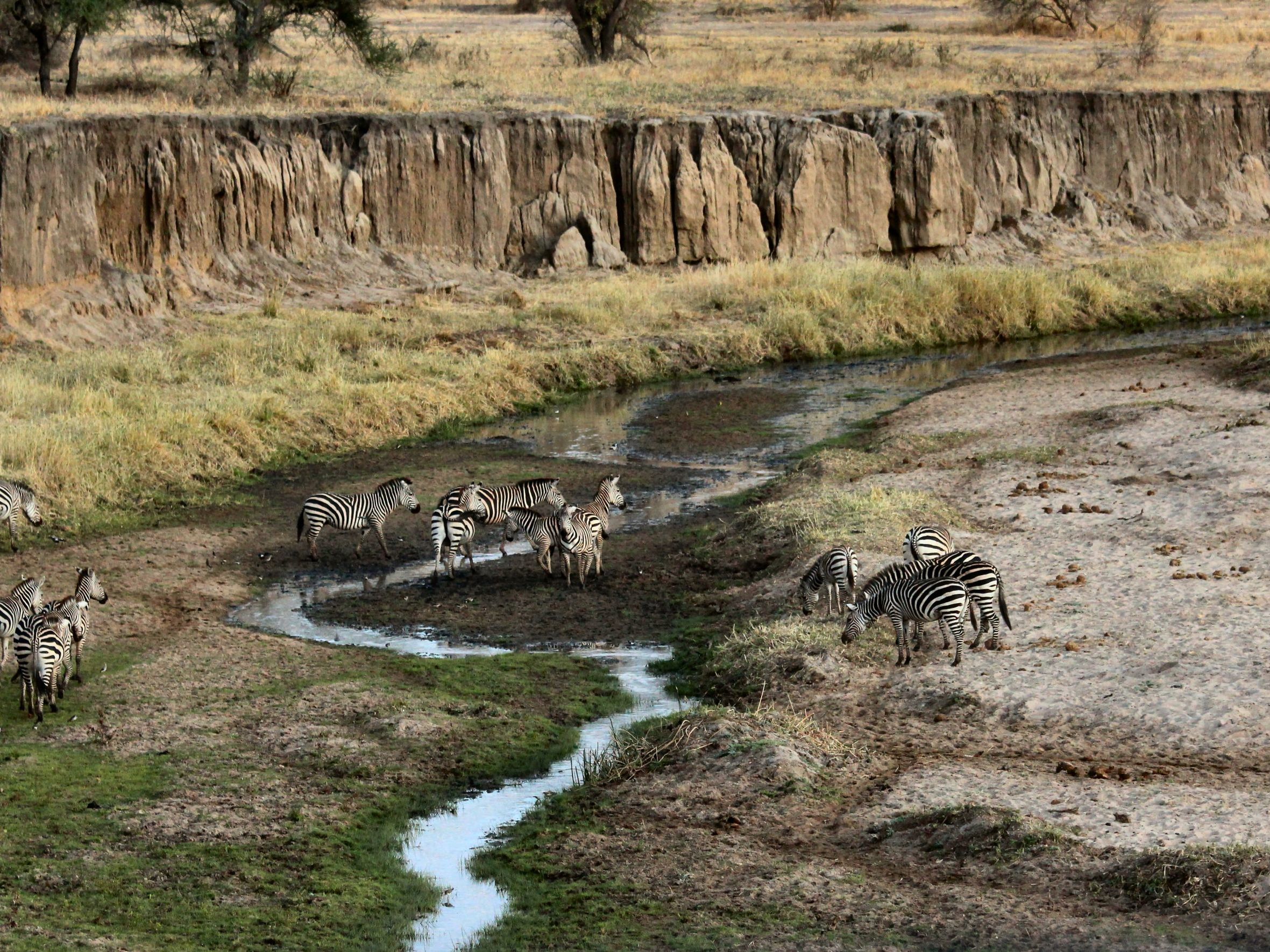 Introducing Tarangire National Park