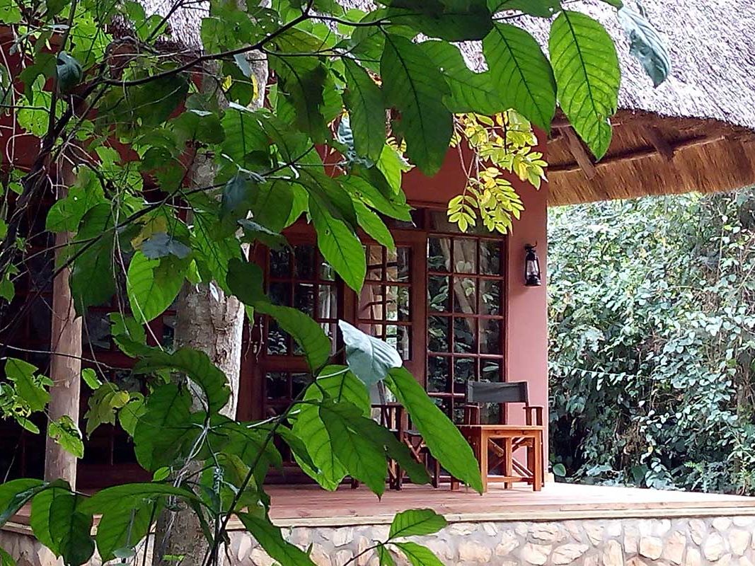 Primate Lodge Kibale