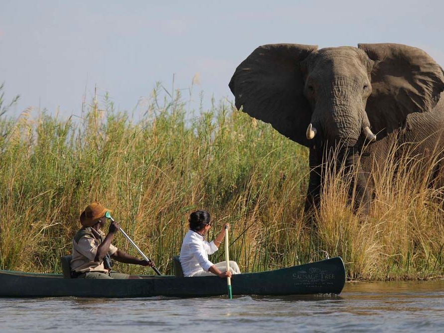 Mana Pools National Park
