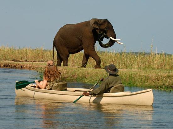On safari in the Lower Zambezi National Park